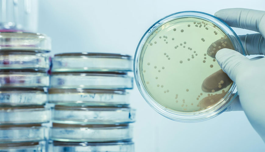 ASTM E2149 Dinamik Temas Koşulları Altında Hareketsizleştirilmiş Antimikrobiyal Ajanların Antimikrobiyal Aktivitesinin Belirlenmesi için Standart Test Yöntemi