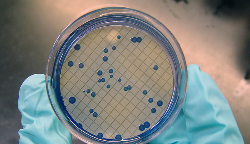 Simultaneous Detection of Total Coliform and E. Coli with the SM 9222H